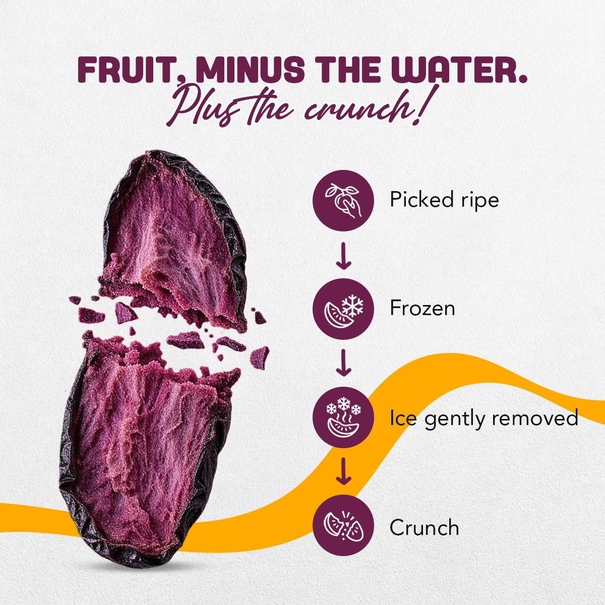 What is freeze-dried? Picked ripe, frozen, ice gently removed, crunch – freeze-dried black jamun