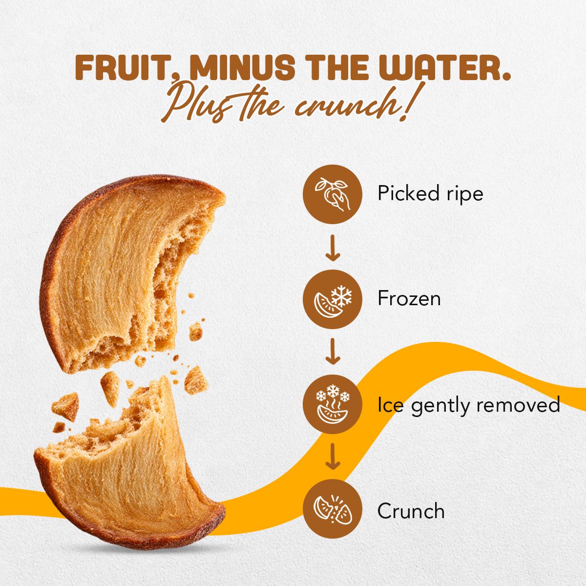 What is freeze-dried? Picked ripe, frozen, ice gently removed, crunch – freeze-dried chikoo