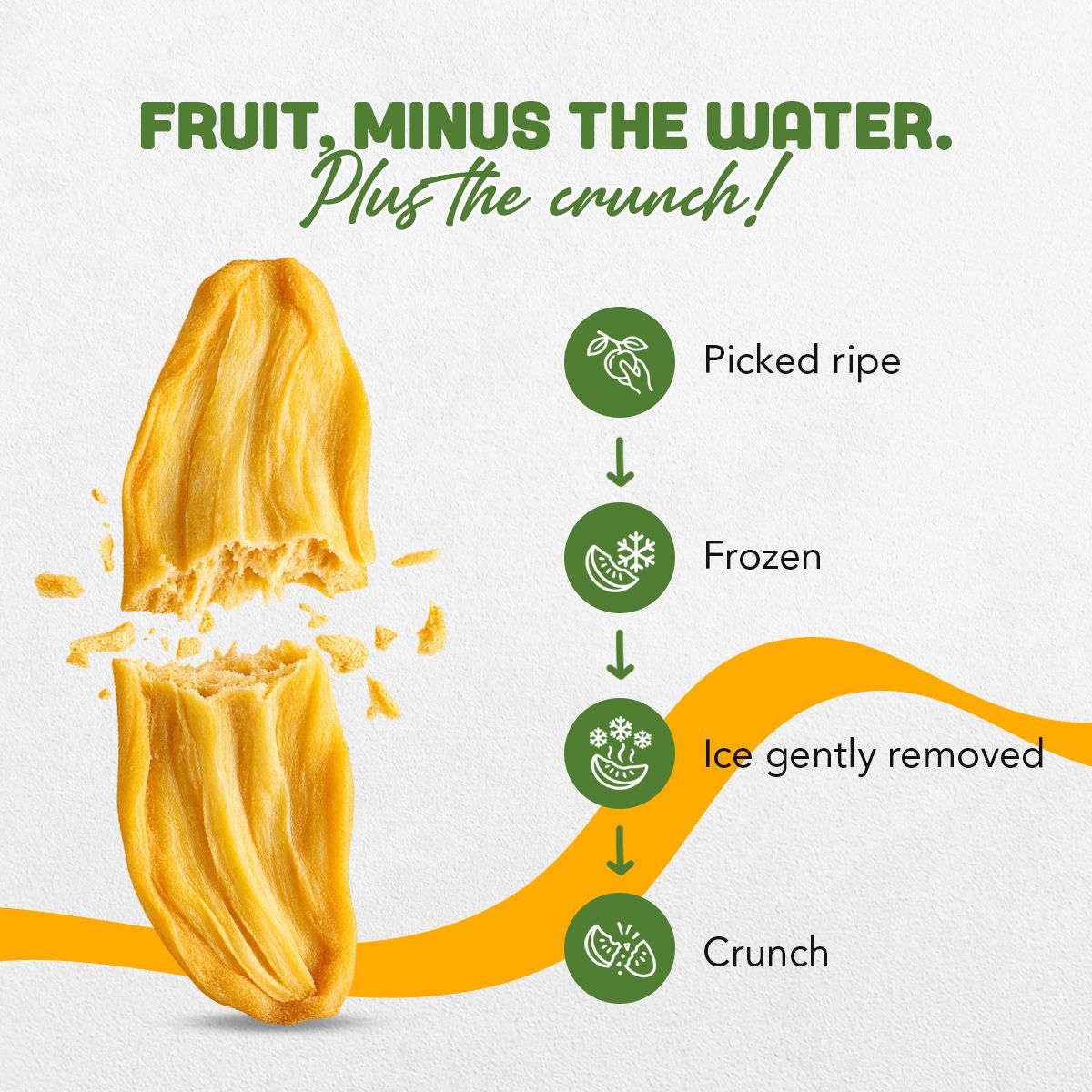 What is freeze-dried? Picked ripe, frozen, ice gently removed, crunch – freeze-dried jackfruit