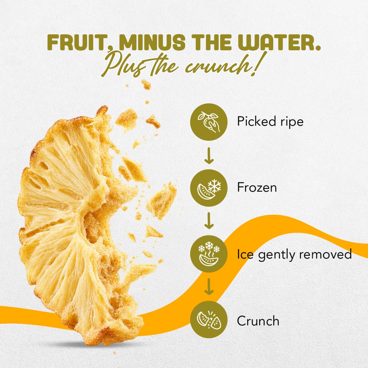 What is freeze-dried? Picked ripe, frozen, ice gently removed, crunch – freeze-dried pineapple